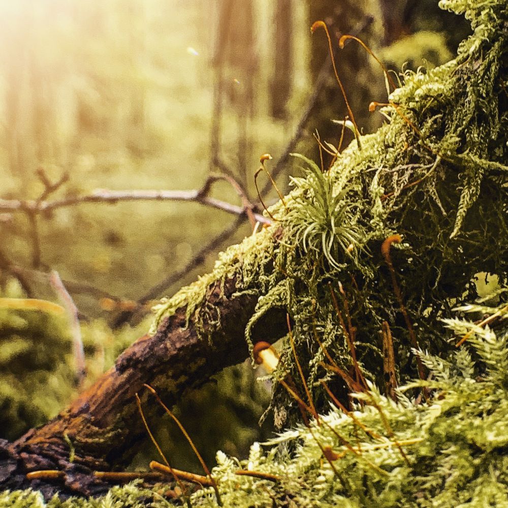 Photograph by Евгения Д