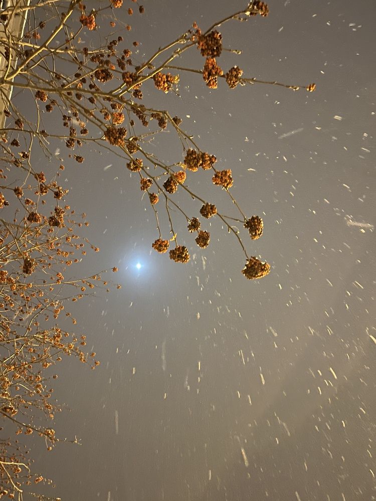 Photograph by Tatiana Ünal