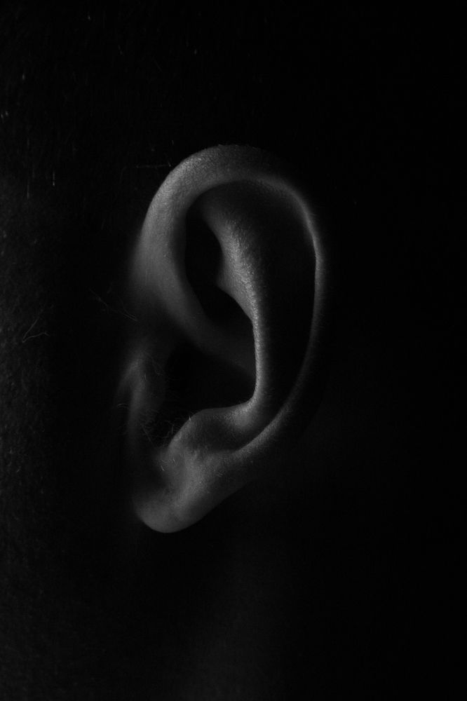 Photograph by Наталья Житинева