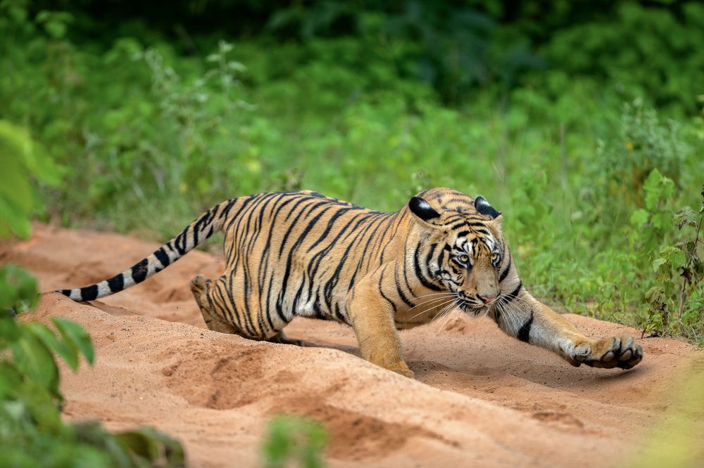 Photograph by Gade Neeraj