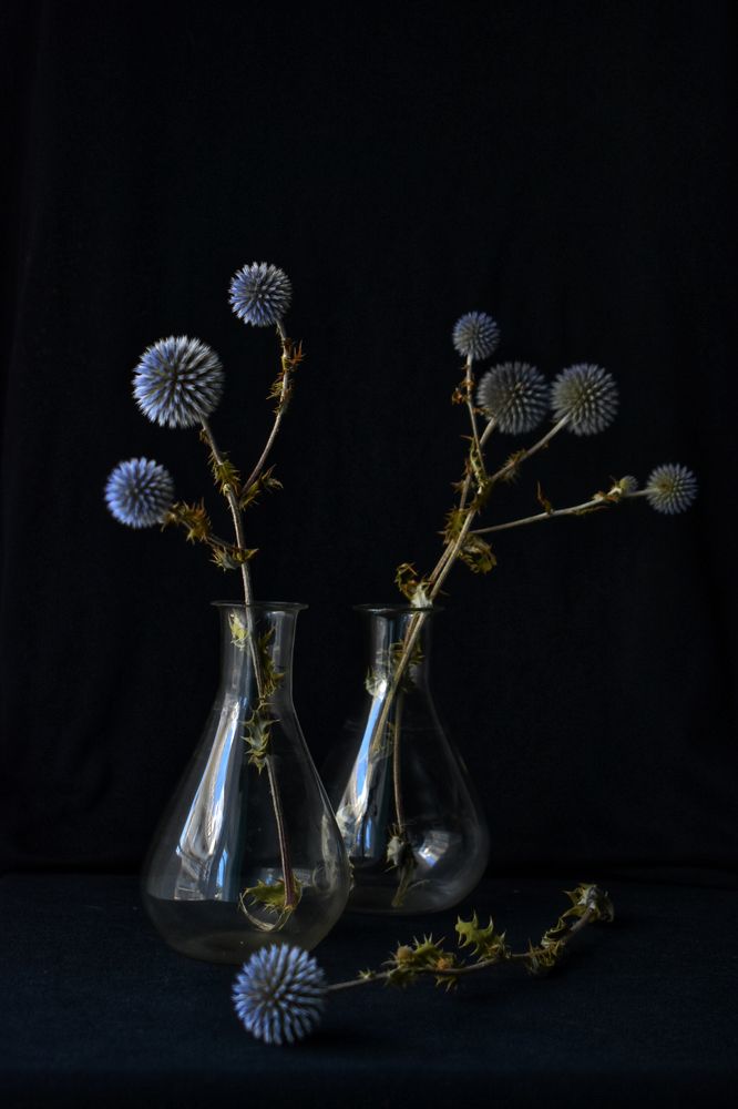 Фотография автора Екатерина Круглик