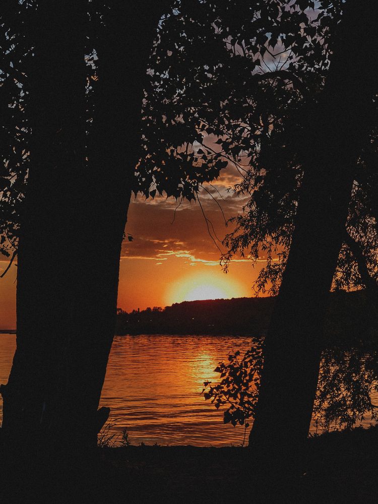Photograph by Анна