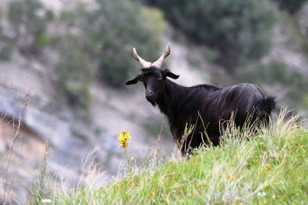 Photograph by Nadzeya