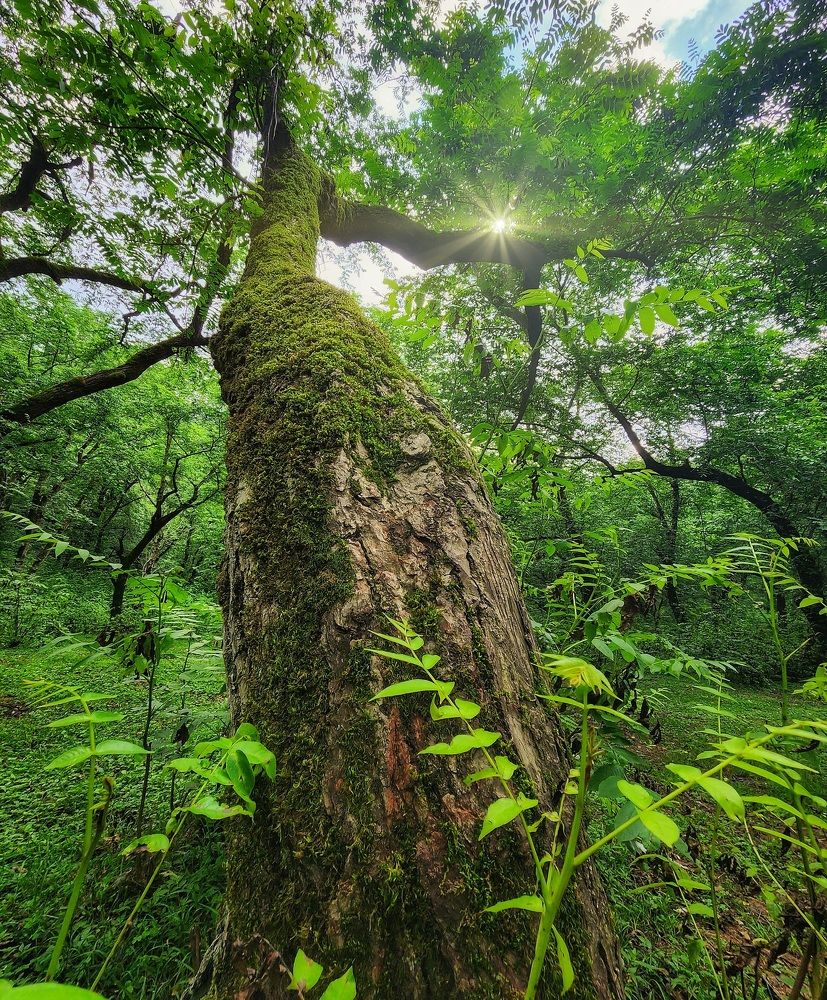 Фотография автора reyhane  khavaninzadeh