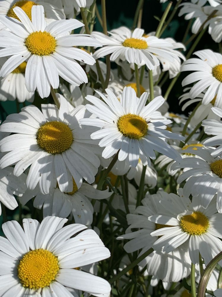 Photograph by Наталья Бирук