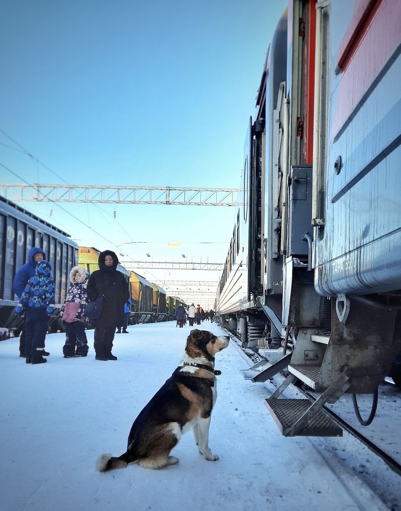 Photograph by Вероника Пугач