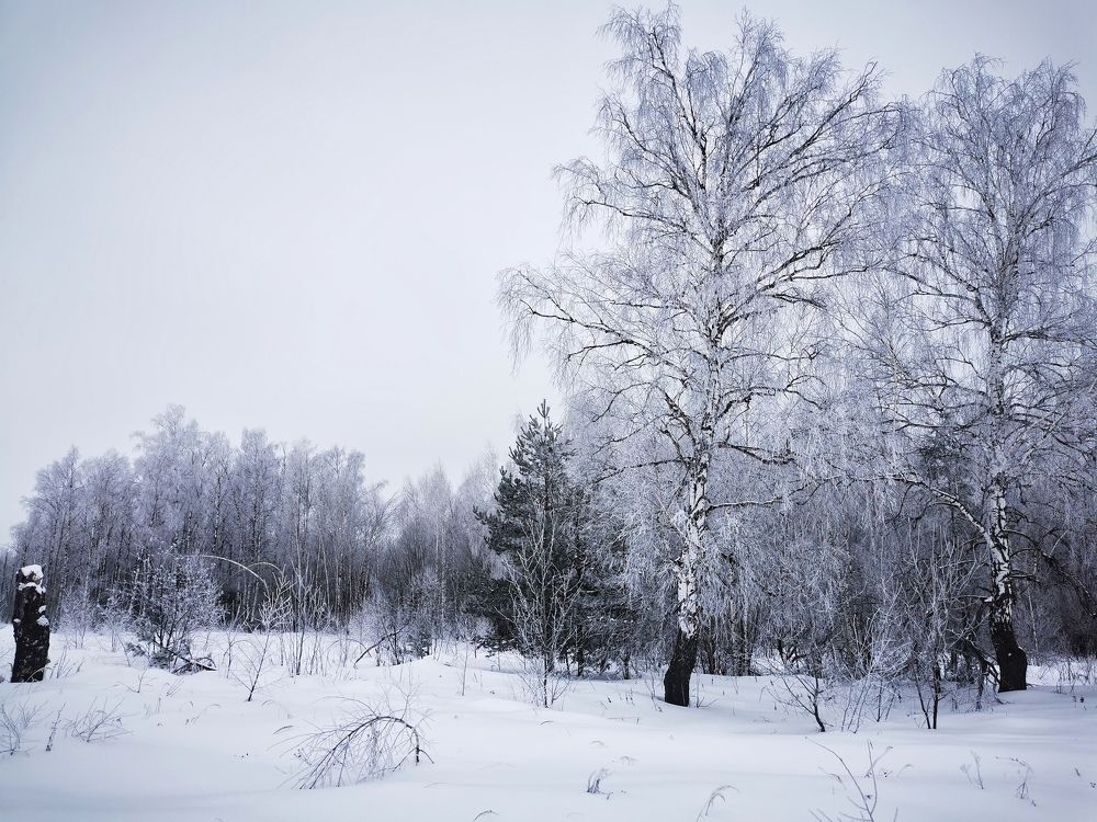 Photograph by Елена Артёменко