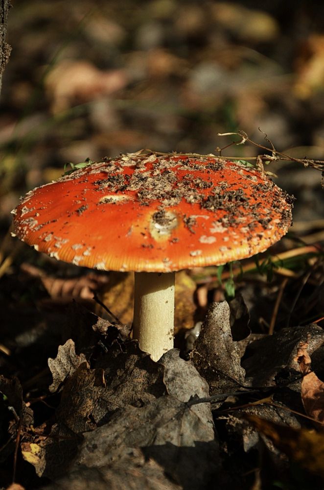 Photograph by Мария Зыкова