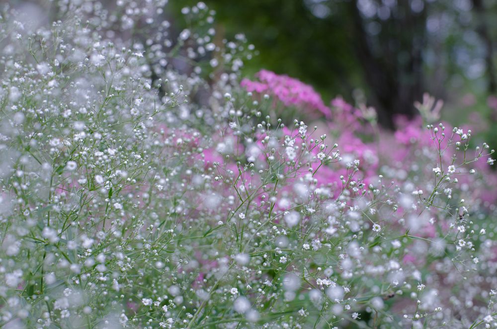 Photograph by Наталья Кокорина