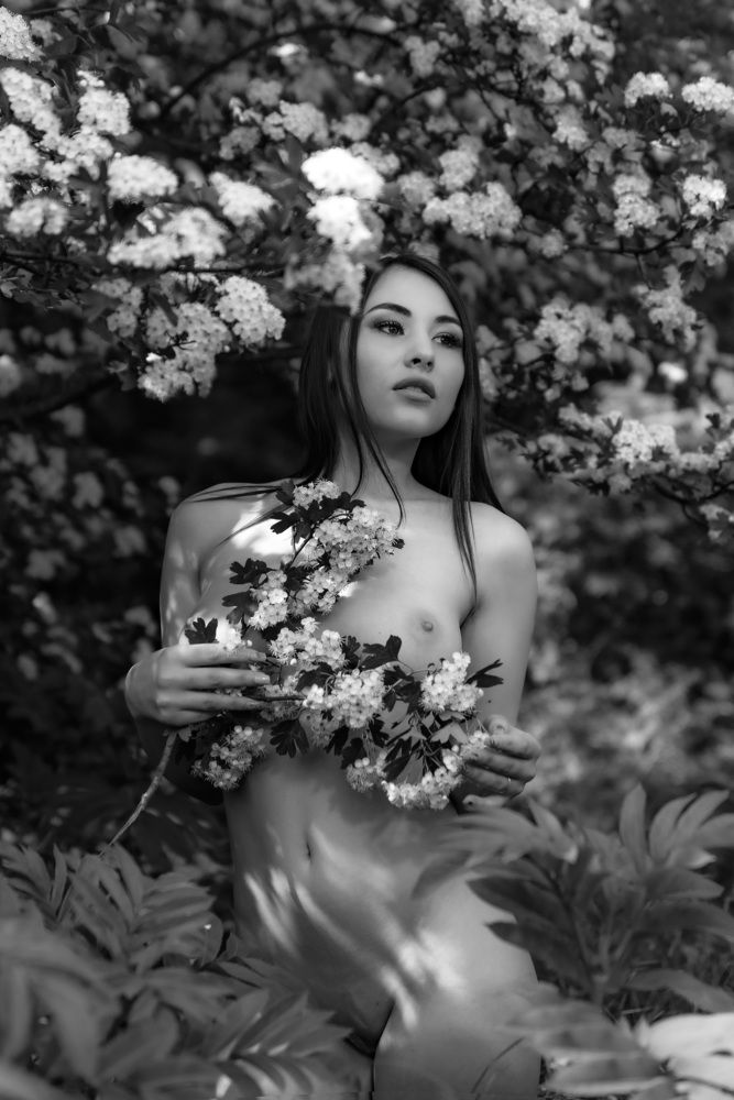 Весенние цветение.