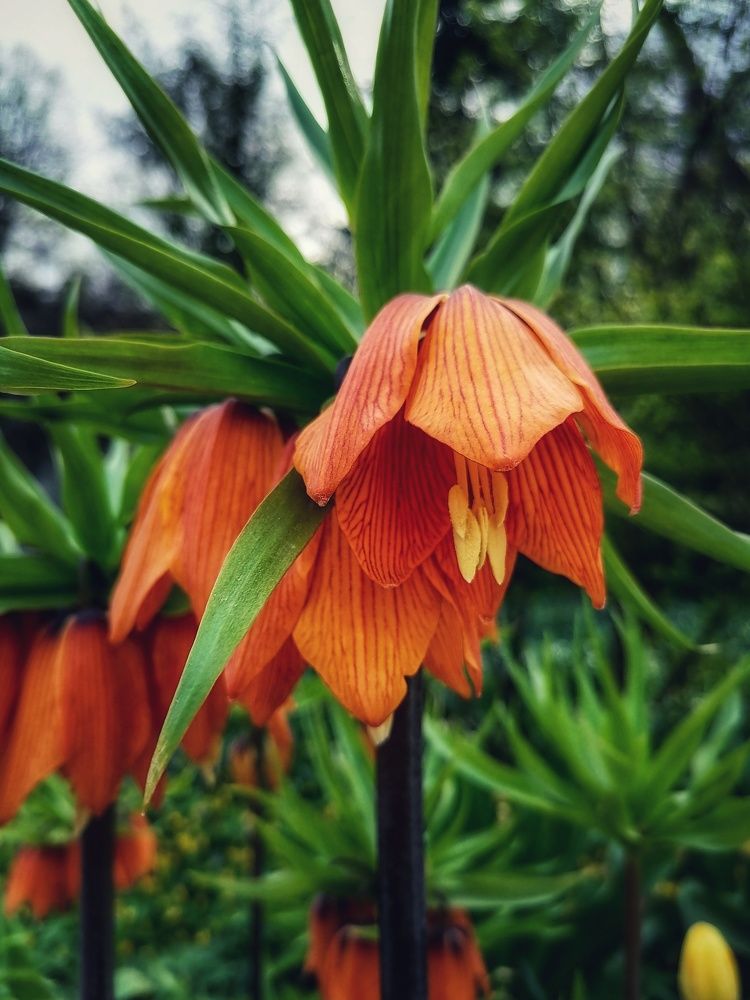 Photograph by Анжелика