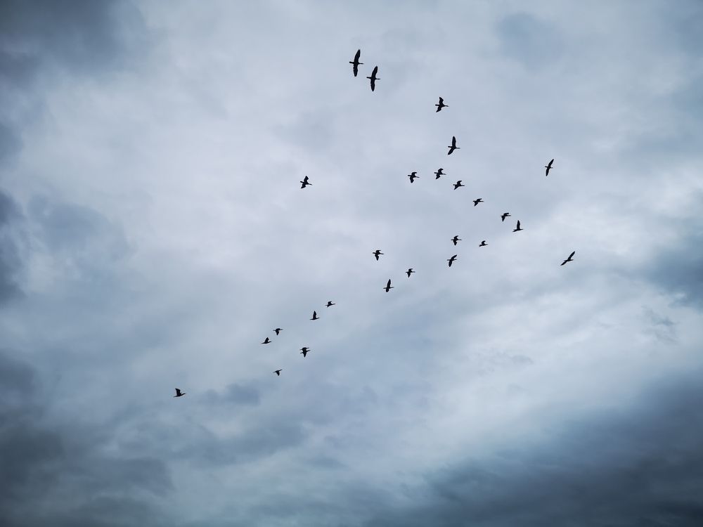 Photograph by Liubov Tarasova