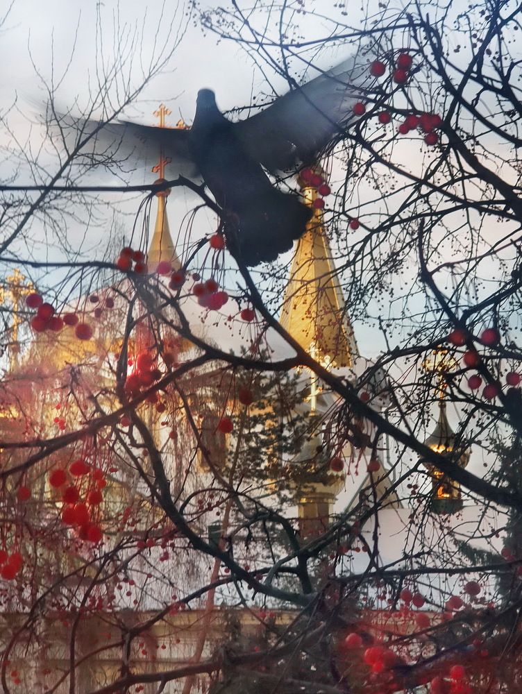 Photograph by Игорь