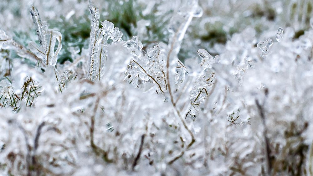 Photograph by Наталья Кокорина