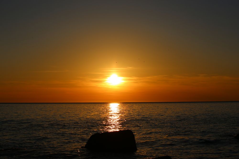 Photograph by Дарья Александровна Емельянова