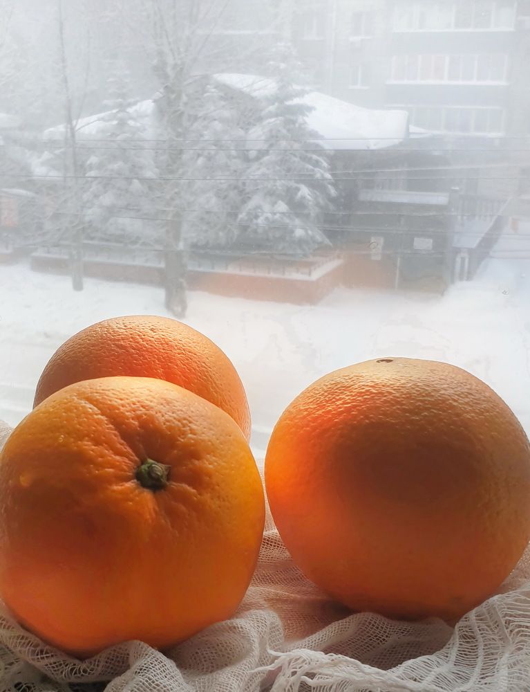 Photograph by Игорь