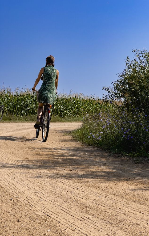 Фотография автора Геннадий Ломеко
