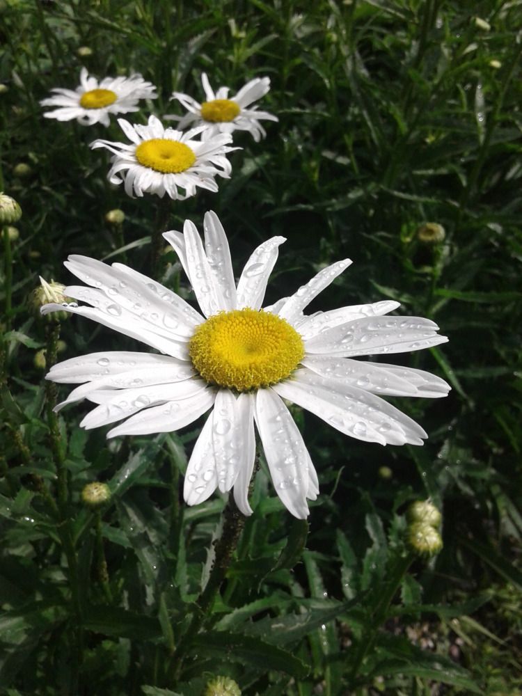 Photograph by Daria Kirina