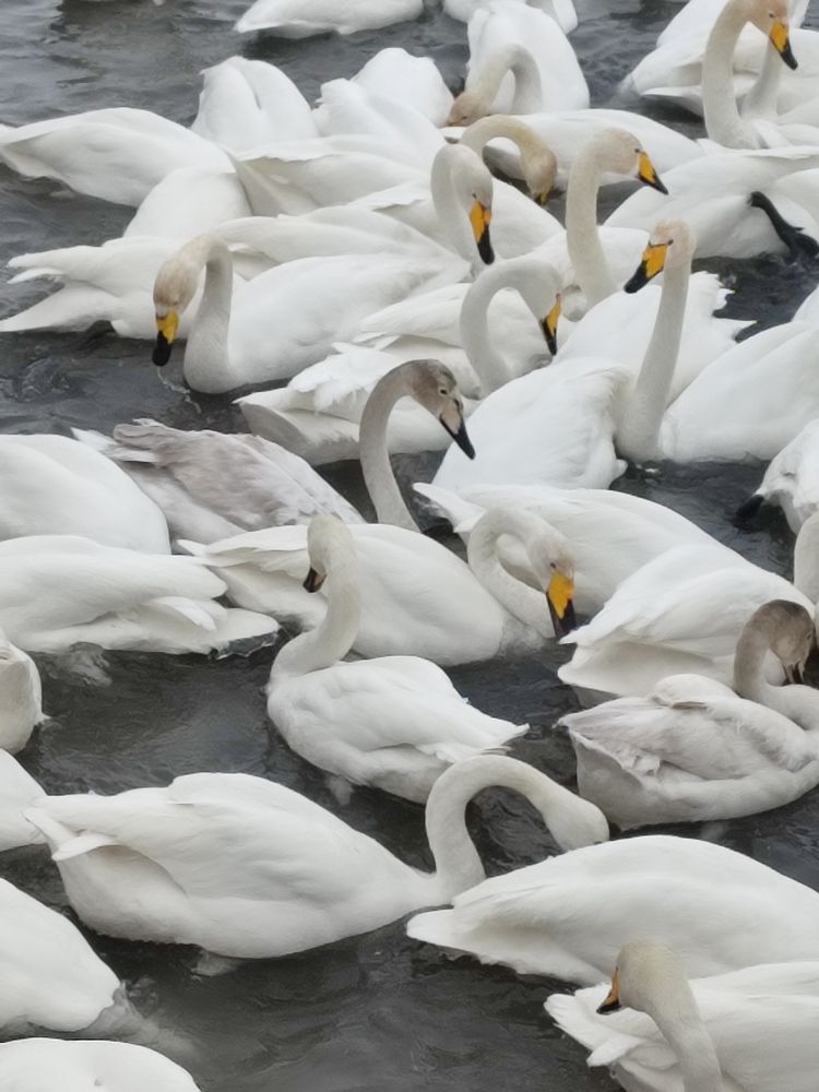 Photograph by Наталья Глек