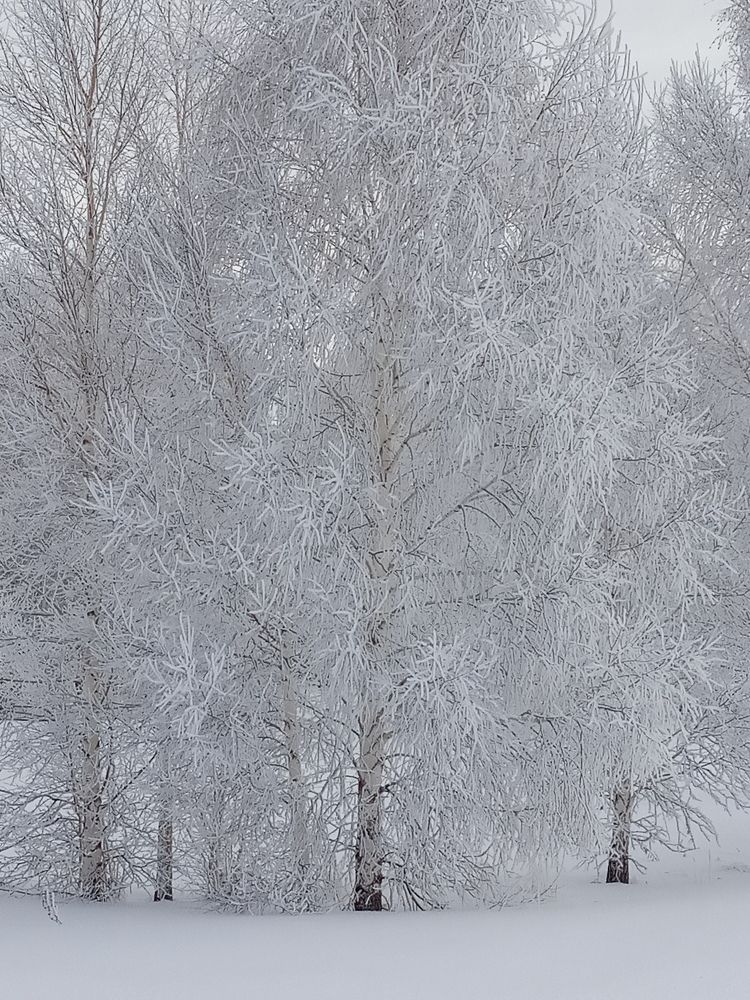 Photograph by Наталья Глек