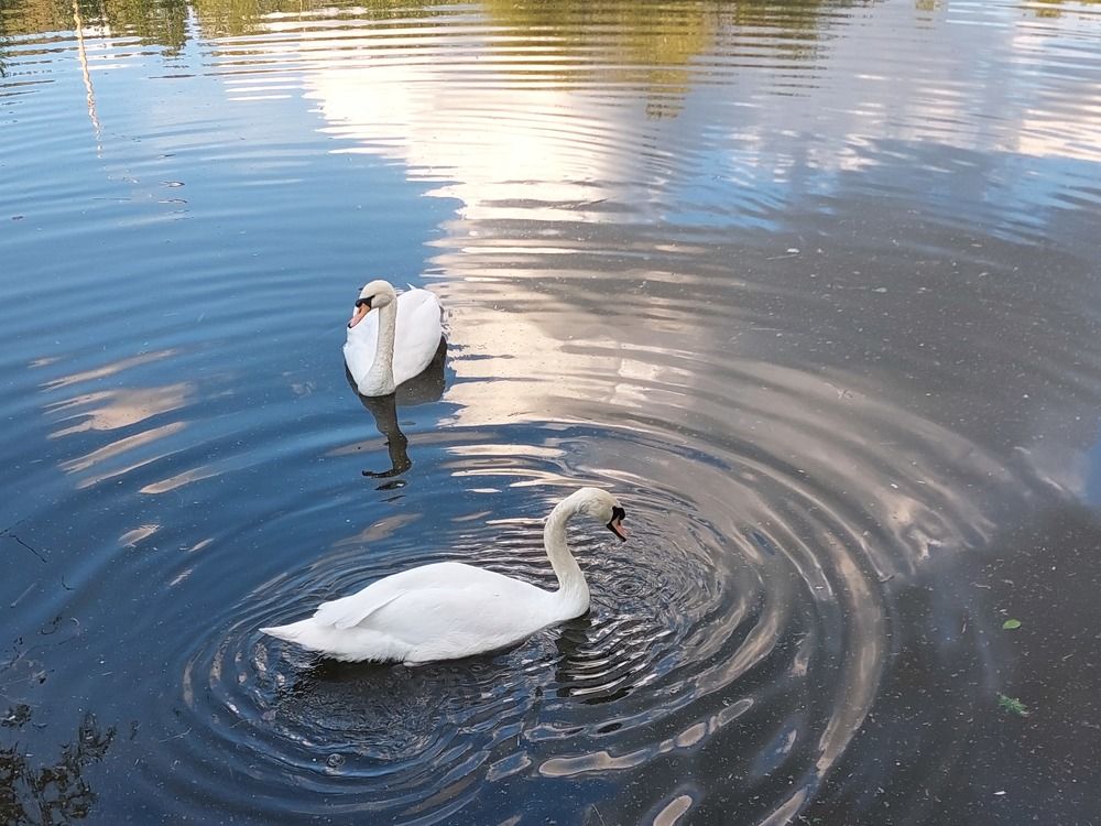 Photograph by Елена Бессонова