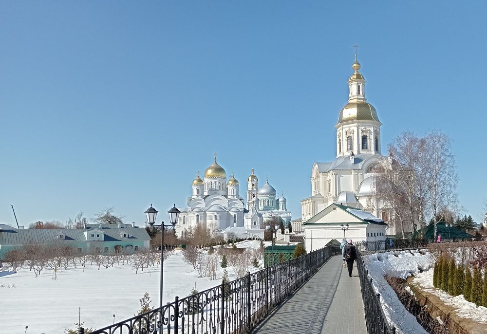 Photo #9504718