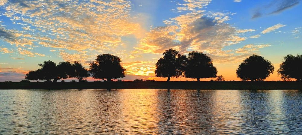 Фотография автора Сергей Можаев