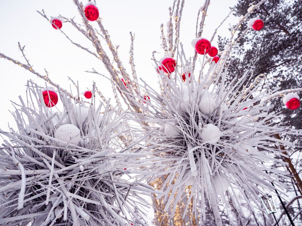 Photograph by Дмитрий Поварков