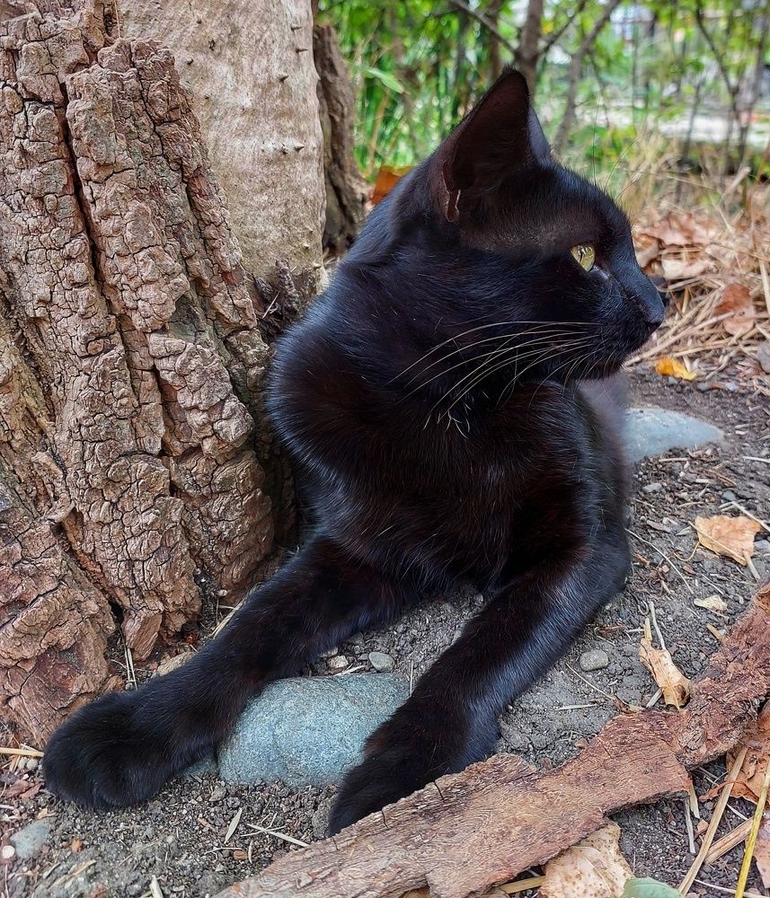 Photograph by Юлия Коробкова