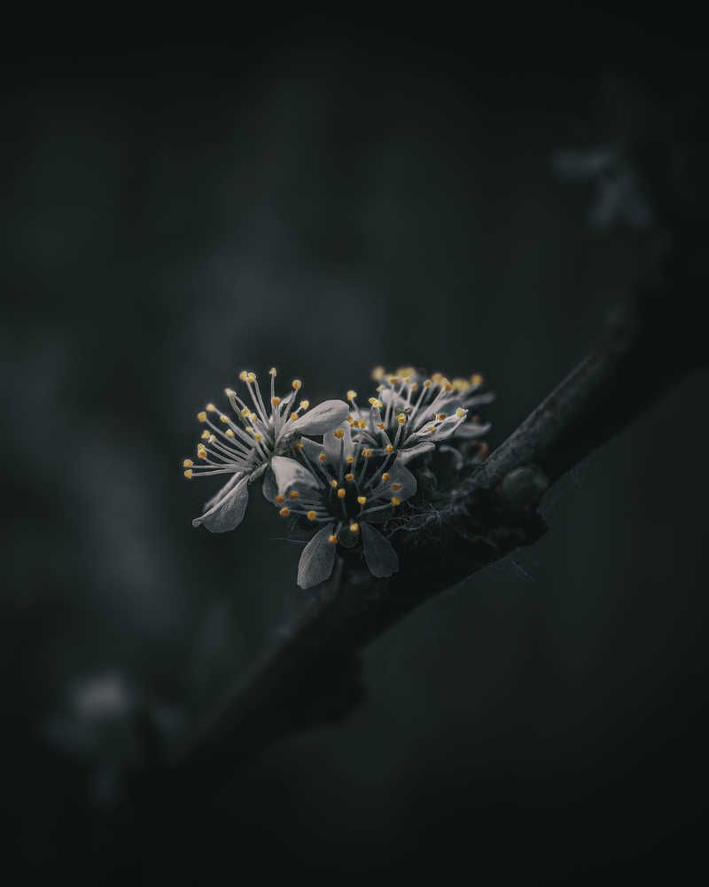 Photograph by Дмитрий Поварков