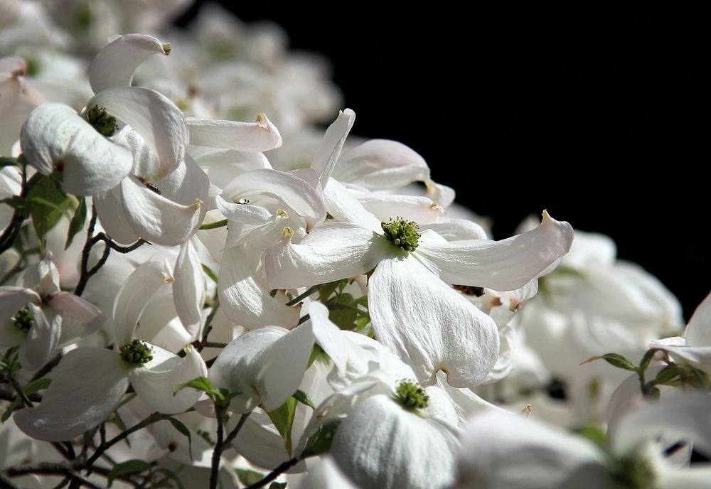 Фотография автора Кулешов Сергей