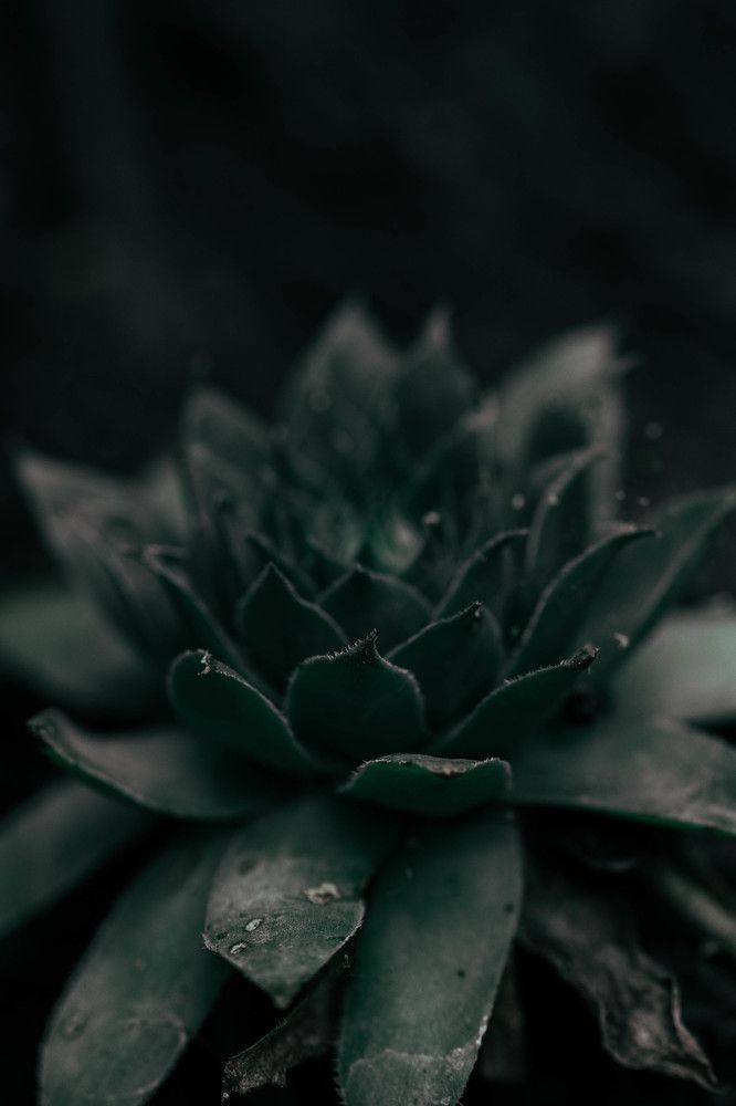 Photograph by Роланд