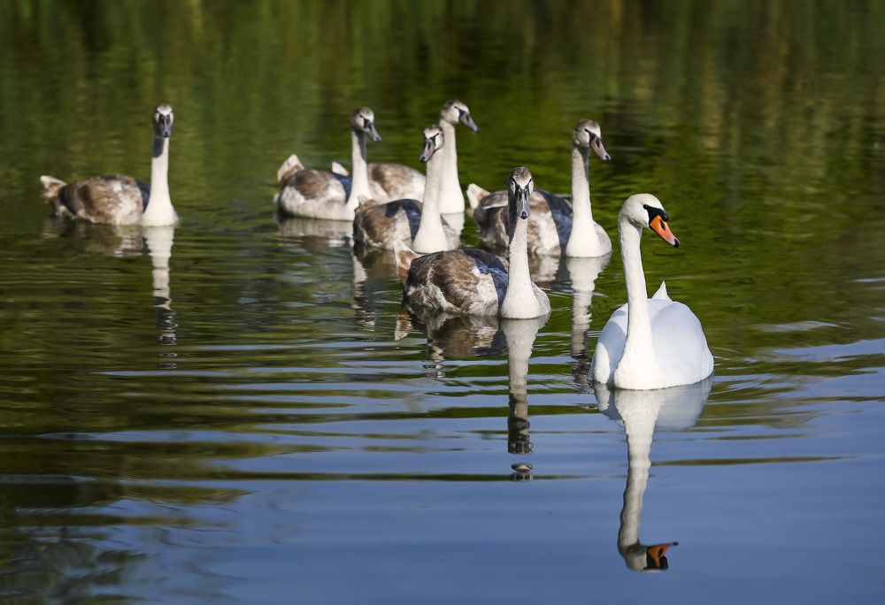 Photograph by Пирог Борис