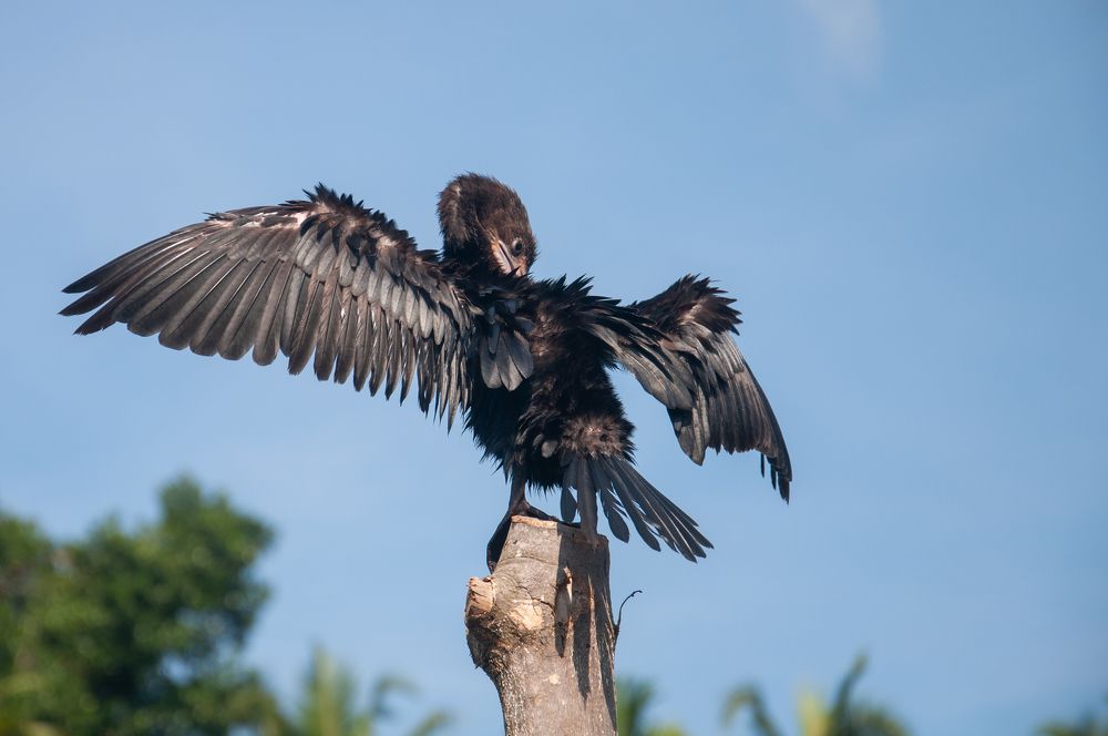 Photograph by Chamara Sulakkhana Polwatta Siriyalage