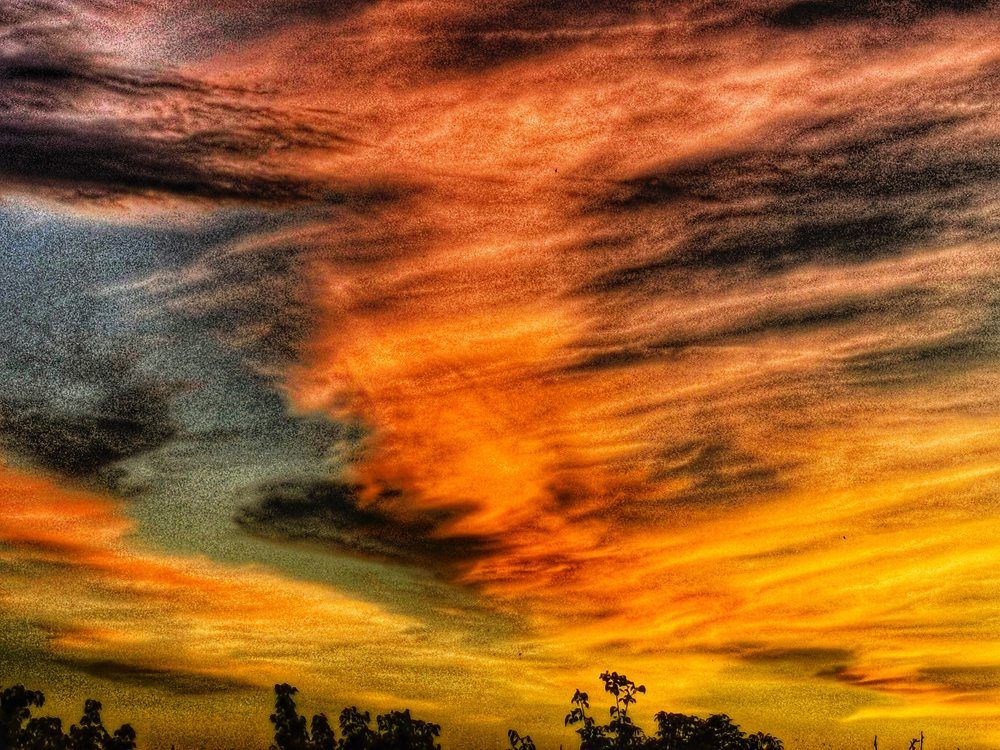 Photograph by Nikolett Mengyi