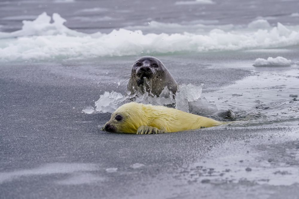 Photograph by Илья Труханов