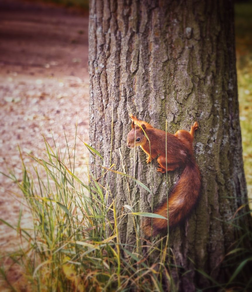 Photograph by Дмитрий Поварков