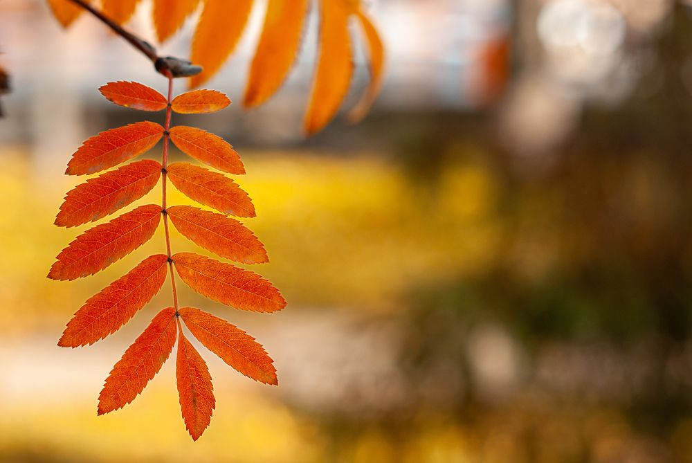 Фотография автора Наталья