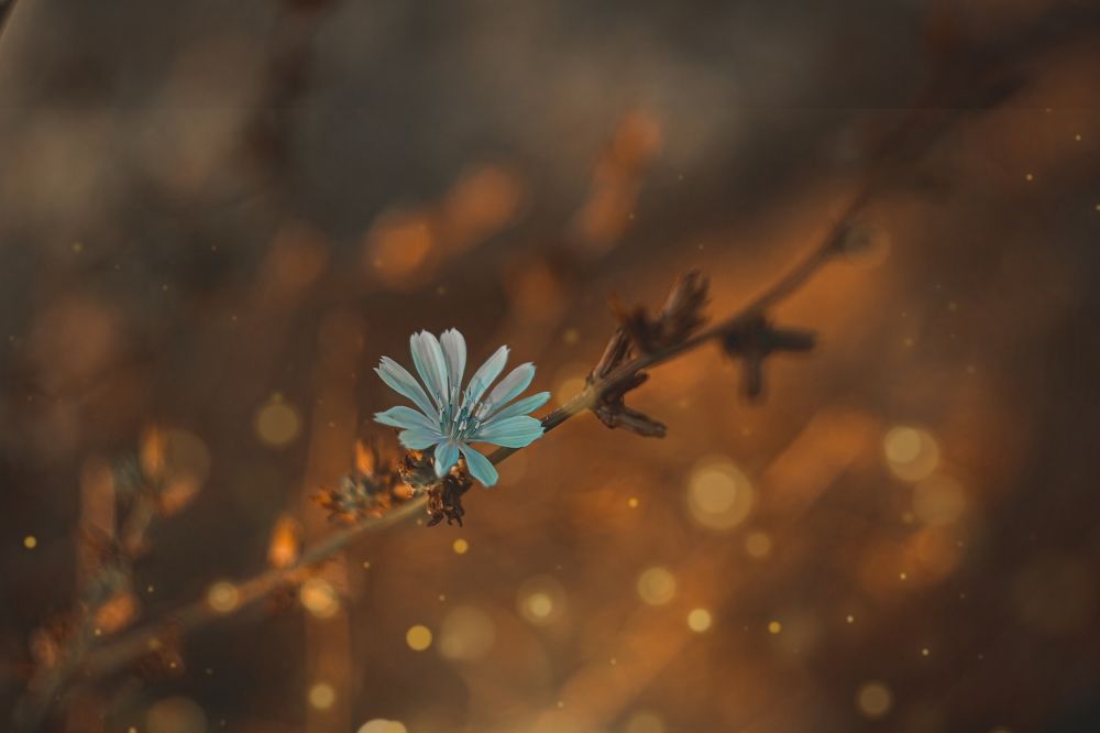 Photograph by Екатерина Мурсынина