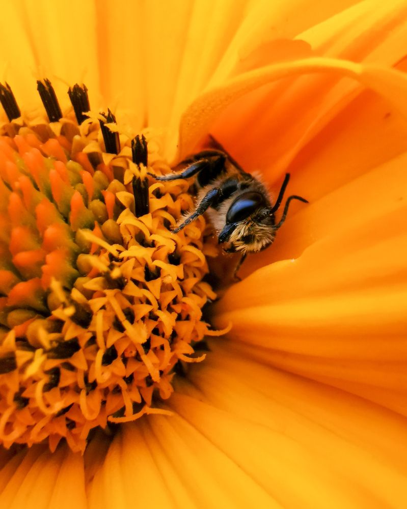 Фотография автора Дмитрий