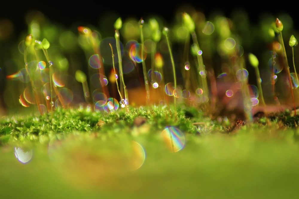 Фотография автора Darshan M. Trivedi