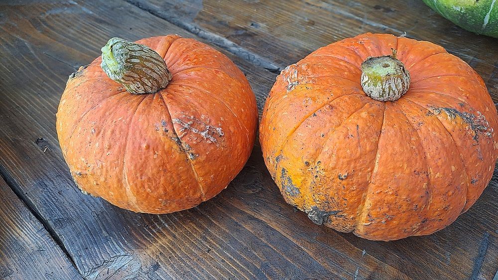 Photograph by Николай Худяков