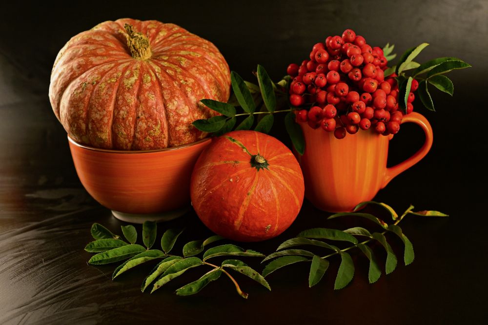 Photograph by Анна Новосельцева