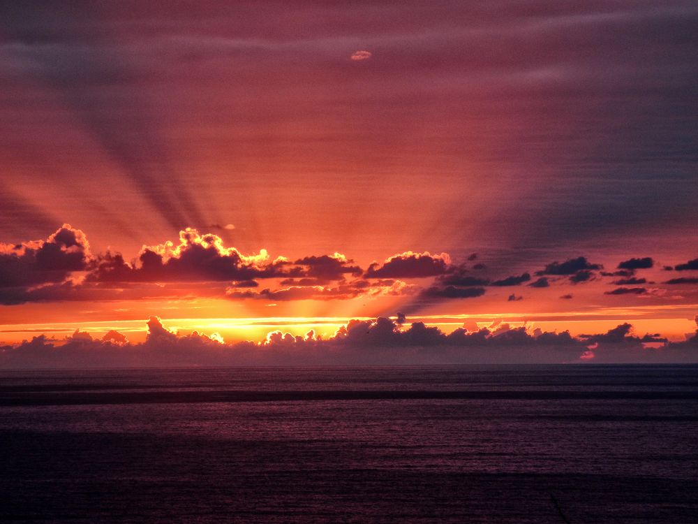 Photograph by Muzaffer Sütlüoğlu