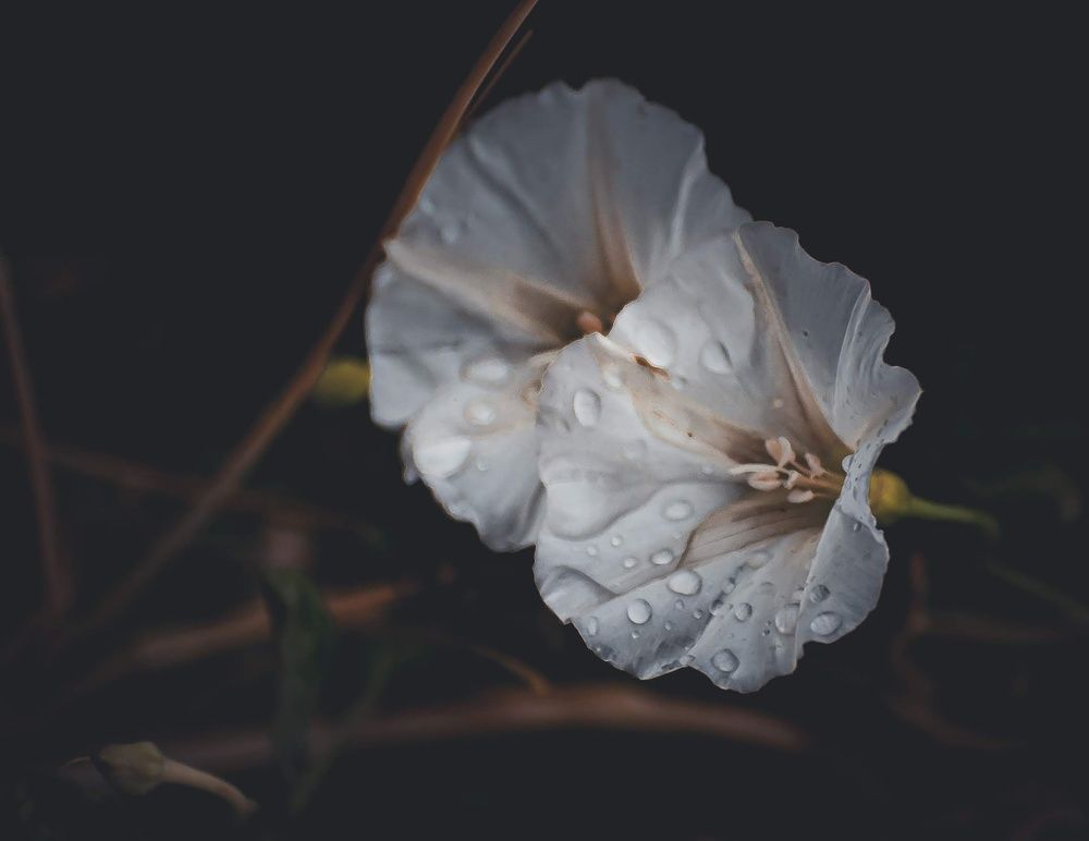 Photograph by Silvina Sánchez