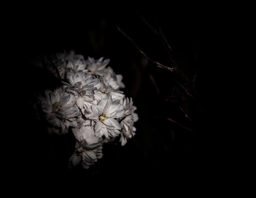 Photograph by Silvina Sánchez