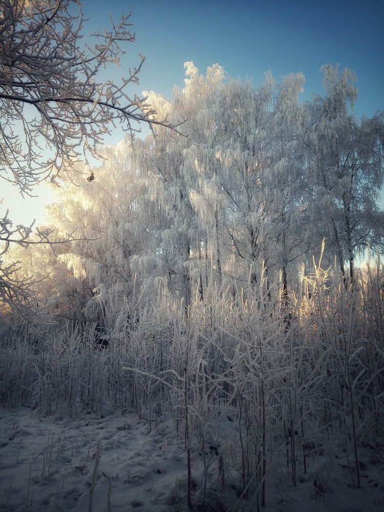 Photograph by Maiya Bulatova