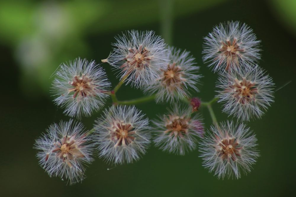 Фотография автора Darshan M. Trivedi