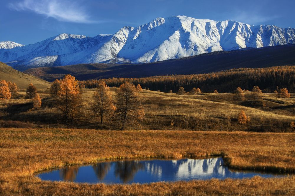 Photograph by Галина Хвостенко