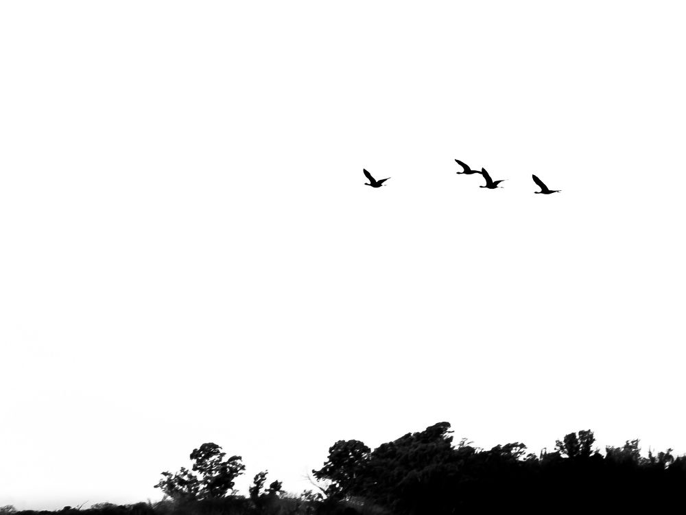 Photograph by Silvina Sánchez